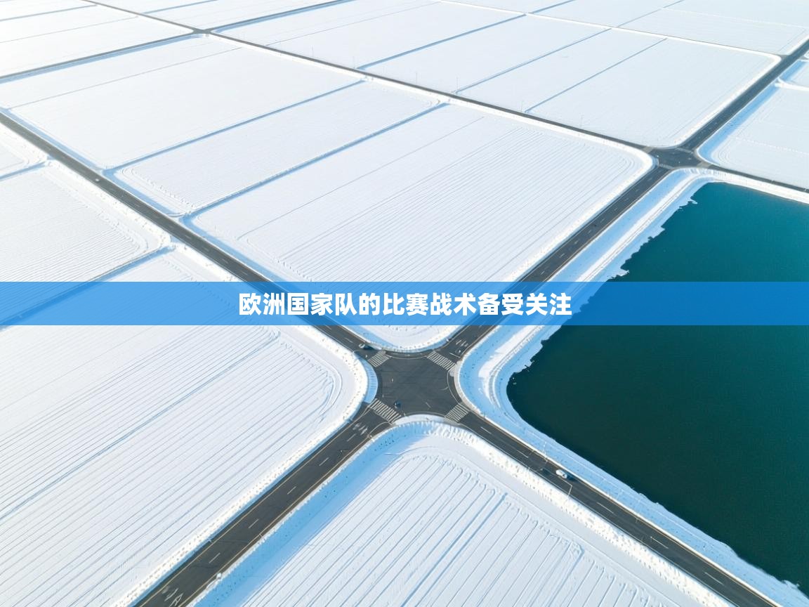 欧洲国家队的比赛战术备受关注  第2张