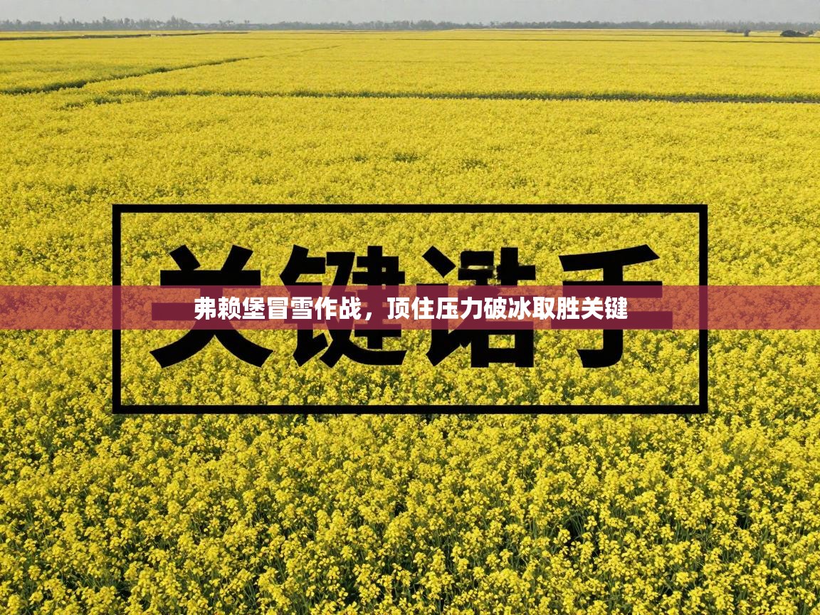 弗赖堡冒雪作战，顶住压力破冰取胜关键  第2张