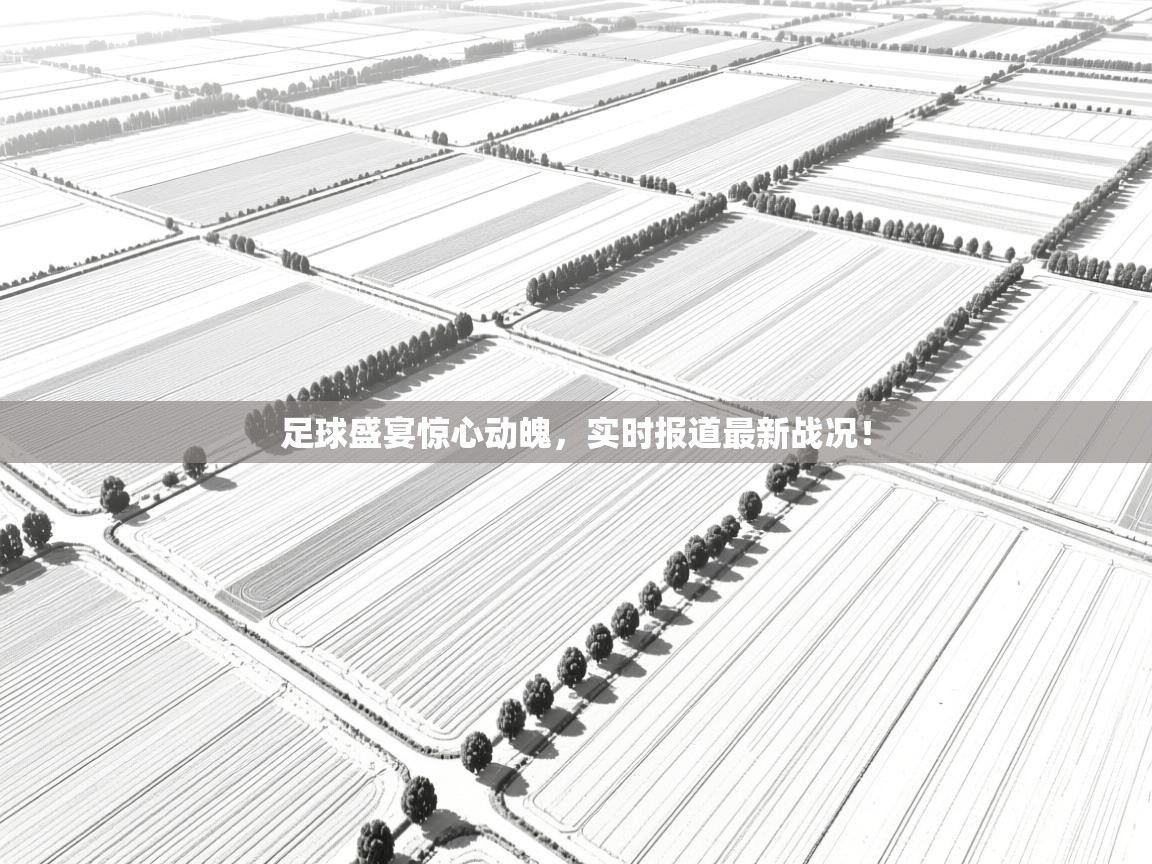 足球盛宴惊心动魄，实时报道最新战况！  第2张